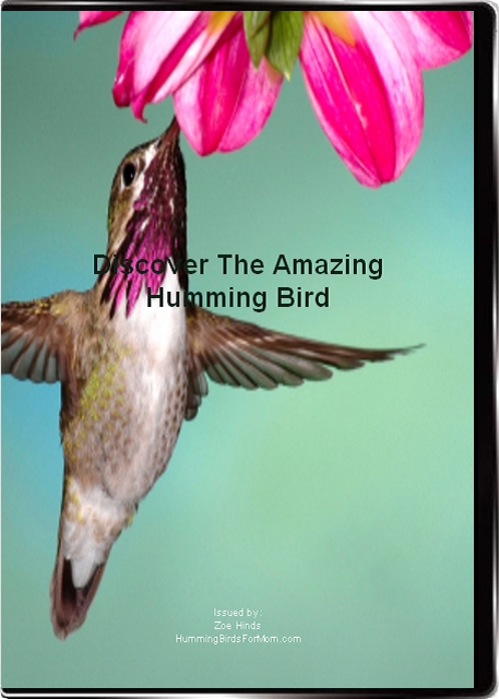 Discover The Amazing Humming Bird Audio Cd